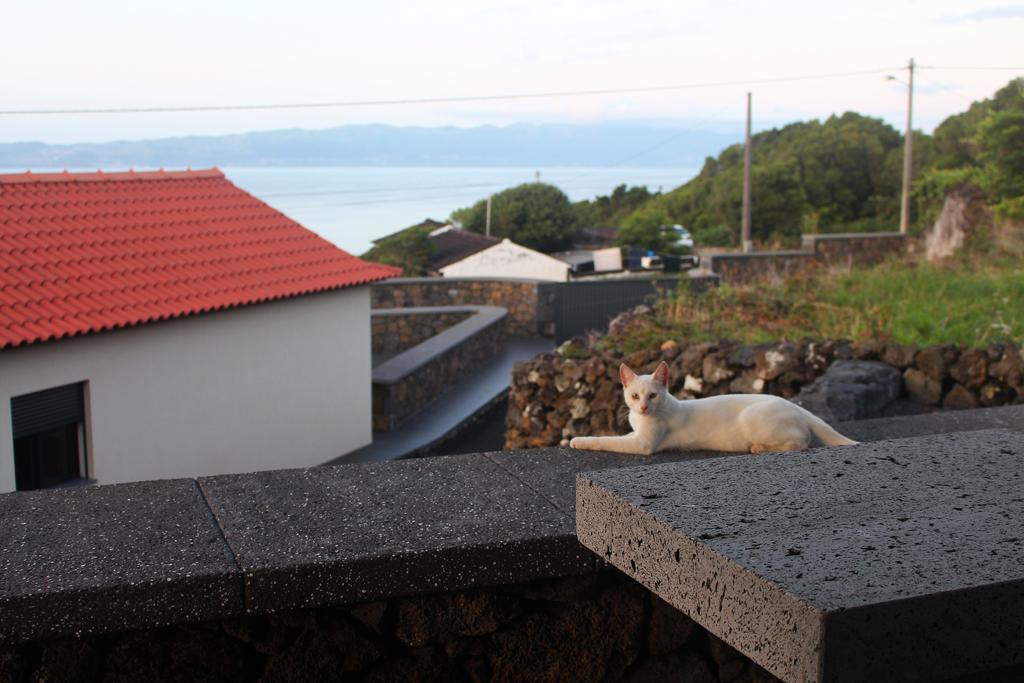Vila Paim Santo Antonio  Экстерьер фото